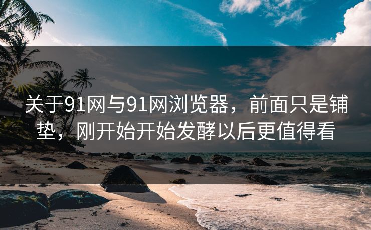 关于91网与91网浏览器，前面只是铺垫，刚开始开始发酵以后更值得看