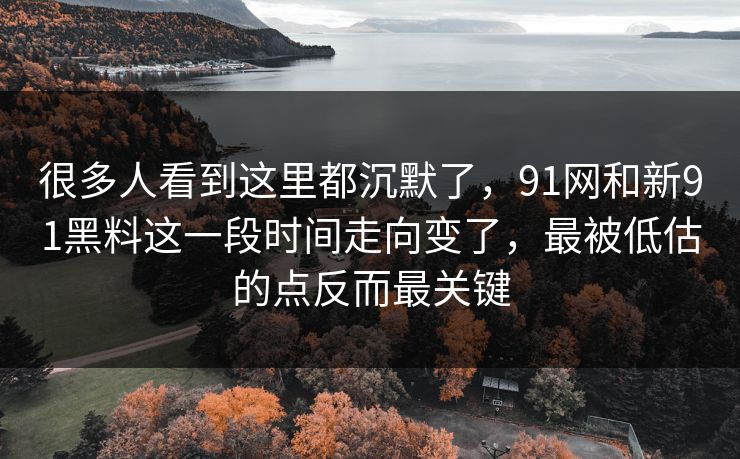 很多人看到这里都沉默了，91网和新91黑料这一段时间走向变了，最被低估的点反而最关键