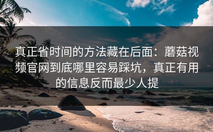 真正省时间的方法藏在后面：蘑菇视频官网到底哪里容易踩坑，真正有用的信息反而最少人提