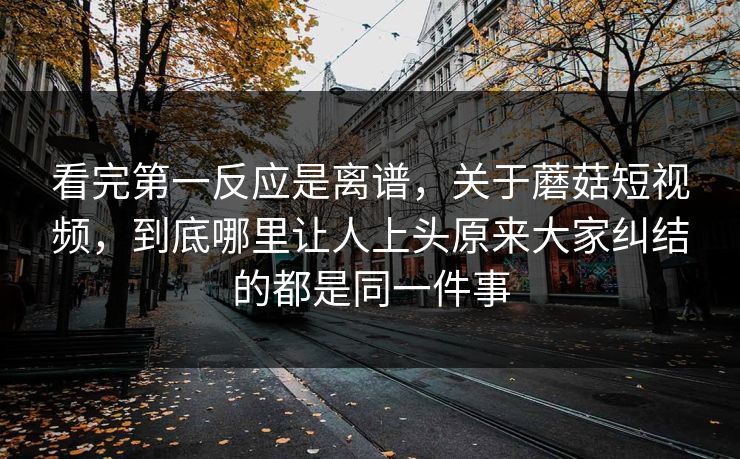 看完第一反应是离谱，关于蘑菇短视频，到底哪里让人上头原来大家纠结的都是同一件事