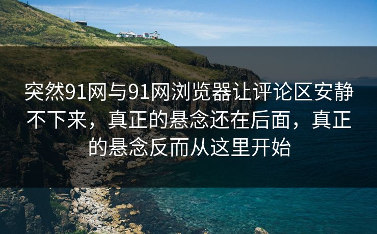 突然91网与91网浏览器让评论区安静不下来，真正的悬念还在后面，真正的悬念反而从这里开始