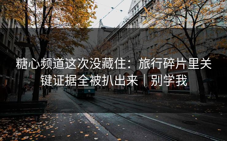 糖心频道这次没藏住:旅行碎片里关键证据全被扒出来|别学我 糖心频道这次没藏住:旅行碎片里关键证据全被扒出来|别学我