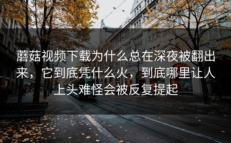 蘑菇视频下载为什么总在深夜被翻出来,它到底凭什么火,到底哪里让人上头难怪会被反复提起 蘑菇视频下载为什么总在深夜被翻出来,它到底凭什么火,到底哪里让人上头难怪会被反复提起