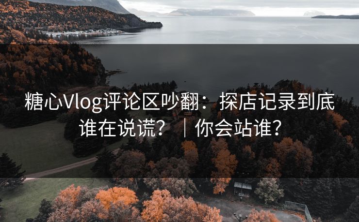 糖心Vlog评论区吵翻:探店记录到底谁在说谎?|你会站谁? 糖心Vlog评论区吵翻:探店记录到底谁在说谎?|你会站谁?