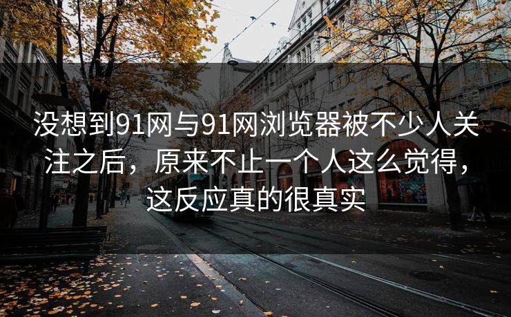 没想到91网与91网浏览器被不少人关注之后，原来不止一个人这么觉得，这反应真的很真实