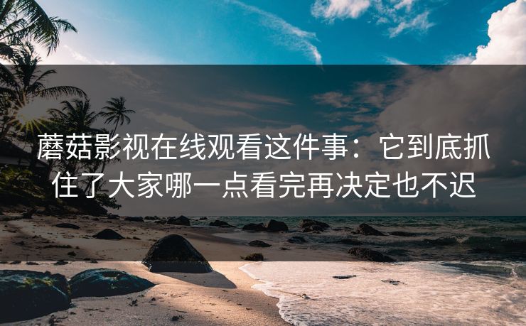 蘑菇影视在线观看这件事：它到底抓住了大家哪一点看完再决定也不迟